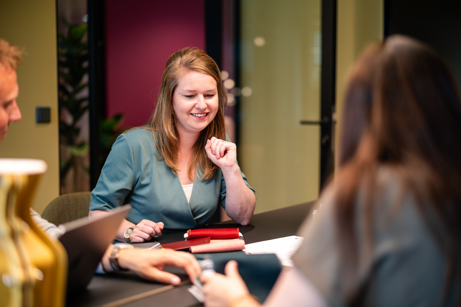 Ambassadeurs, draagvlak